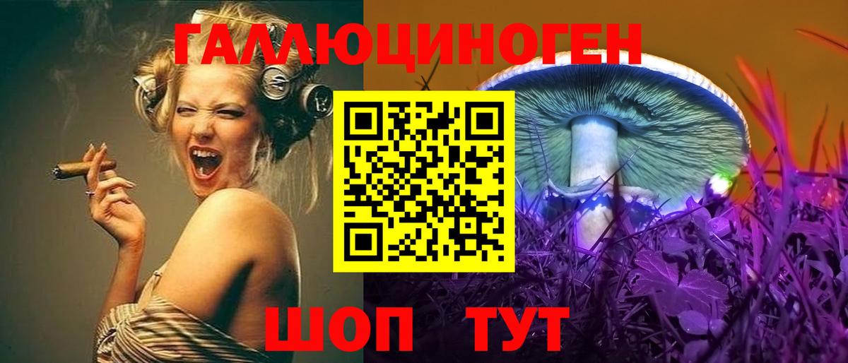 закладки  Вход с VPN  Вольск  Галлюциногенные грибы GOLDEN TEACHER  Псилоцибиновые грибы Cubensis 